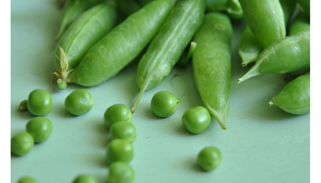 feeding kids peas